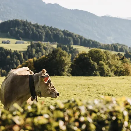 & Wirtschaft Waelderhof 3*