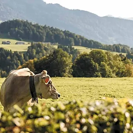 Hotel & Wirtschaft Waelderhof 3*