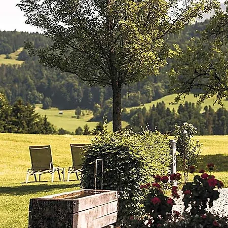 Hotel & Wirtschaft Waelderhof Lingenau